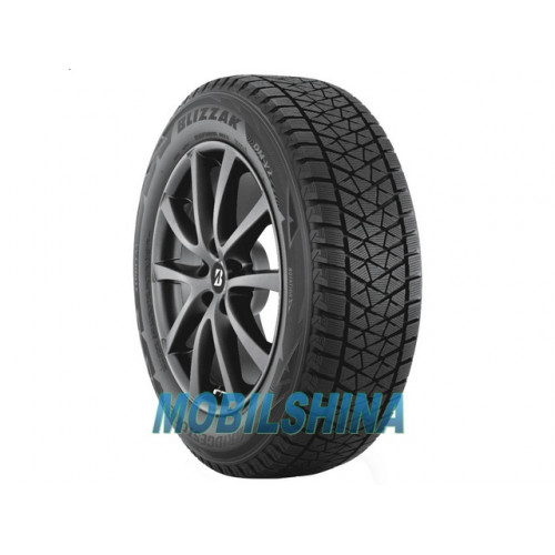 255/50 R19 Bridgestone Blizzak DM-V2 107T