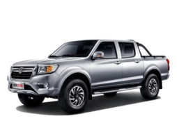 Dongfeng Rich Pickup II