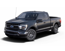 Ford F-150 XIV (P702)