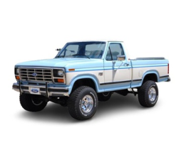 Ford F-250 VII