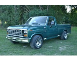 Ford F-100 VII