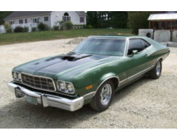 Ford Gran Torino III