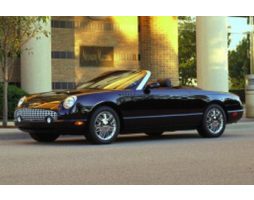 Ford Thunderbird XI