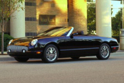 Ford Thunderbird XI