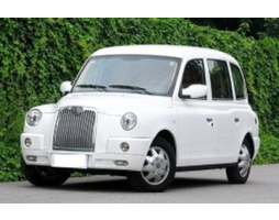 Geely Englon TX4