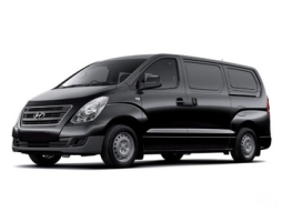 Hyundai H300 TQ