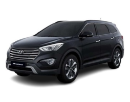 Hyundai Maxcruz DM