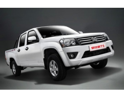 JMC Qiling T5