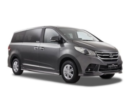 LDV G10
