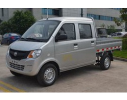Lifan T21