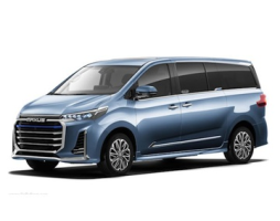 Maxus G20