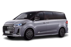 Maxus G20 Plus