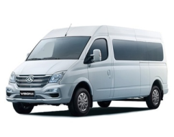Maxus V80 Plus