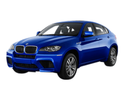 BMW X6 M E71