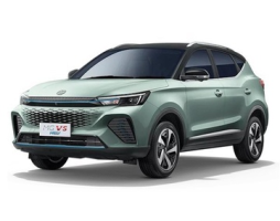 MG VS ZS12