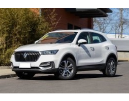 Borgward BX5