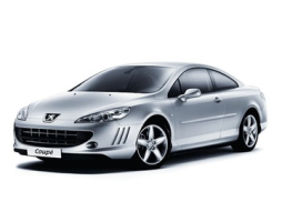 Peugeot 407 I