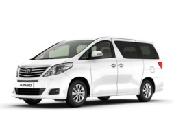 Toyota Vellfire I (AH20)