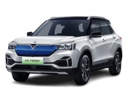 Venucia T60EV