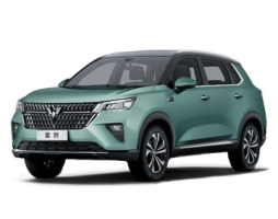 Wuling Asta