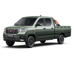 Wuling Fighting