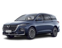 Wuling Victory CN220M