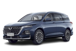 Wuling Victory CN220M
