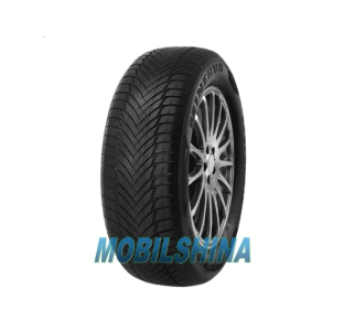 Зимові шини R13 Minerva Frostrack HP 175/65 R13 80T