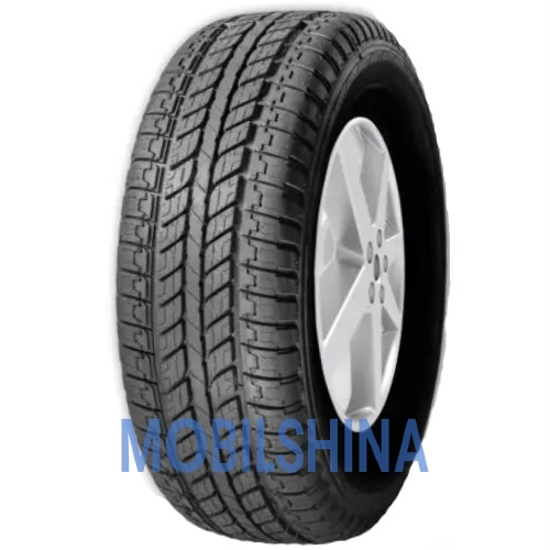 Etruscan Sinoro - фото 1