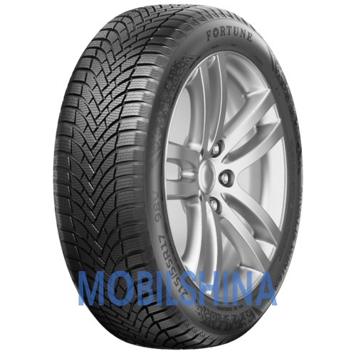 Fortuna Nivalis Winter Pro - фото 1