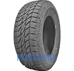 Легковые шины Tercelo WZR505 R16-R18