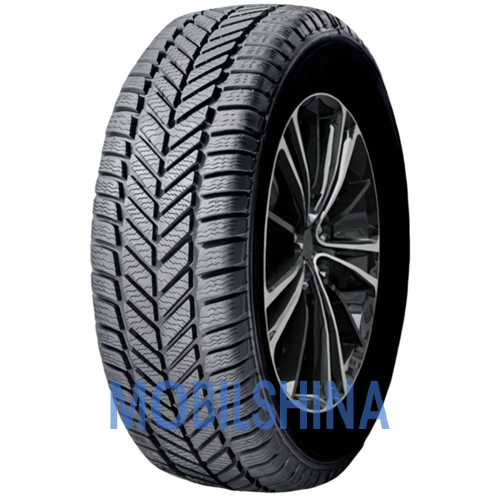 Pneus BP5 - фото 1