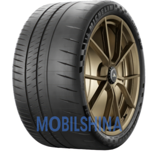 Шины Michelin Pilot Sport Cup 2 R R19-R21
