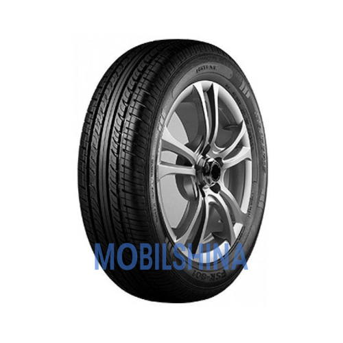 Fortuna FSR-801 - фото 1