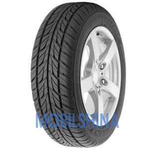 Шини Bridgestone Potenza G019 R16