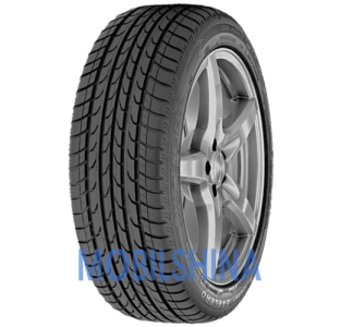 Легкові шини Fulda Carat Exelero 215/55 R17 94W