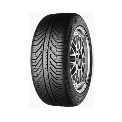 Pilot Sport A/S Plus - фото 1