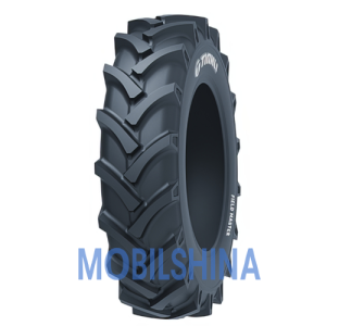 Вантажні шини Tianli в Дніпрі Tianli Field Master (с/х) R24-R38