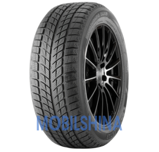 Легкові шини Doublestar WINTERKING DW09 R17-R20