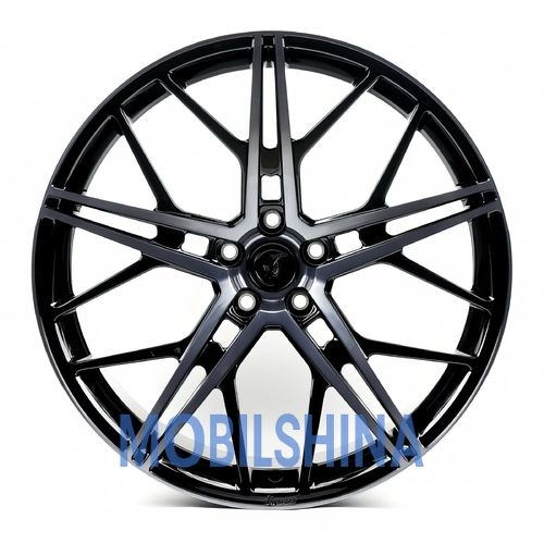 WS-76M - фото 1