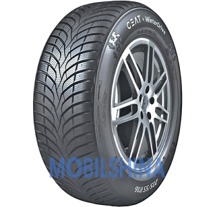 Легкові шини Ceat WinterDrive R13-R17