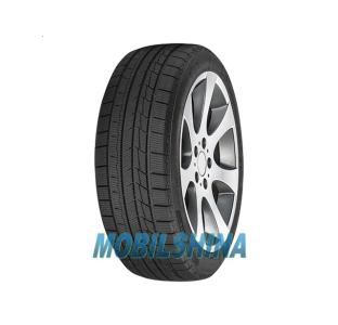 Шини Atlas PolarBear UHP3 R20