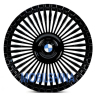 Ws forged WS-B12C - фото 1