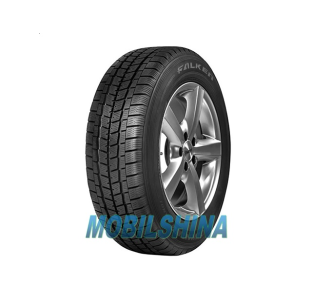 Легкові шини Falken Eurowinter Van01 225/55 R17C 109/107T C