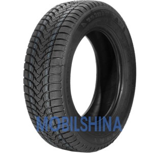 Легковые шины Targum (наварка) Winter 4 225/55 R16 95H