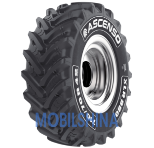 Грузовые шины Ascenso XLR 880 (с/х) R28-R46 Грузовые шины Ascenso XLR 880 (с/х) R28-R46
